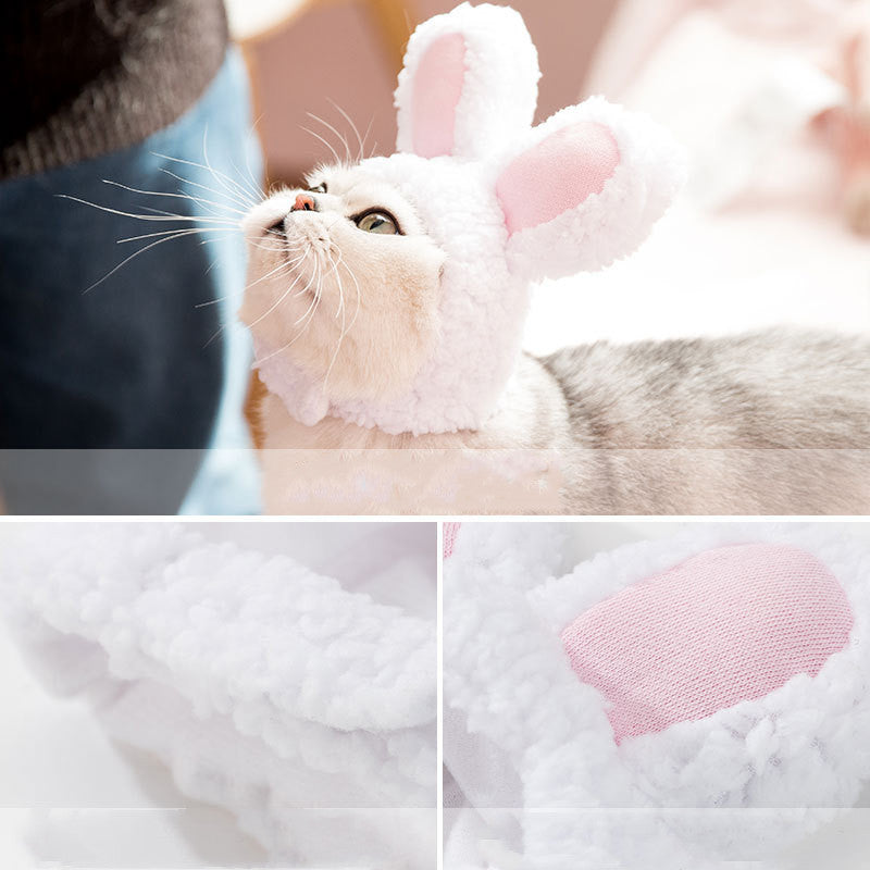 6c2c52dfd3900f7f747ace244dbb1264