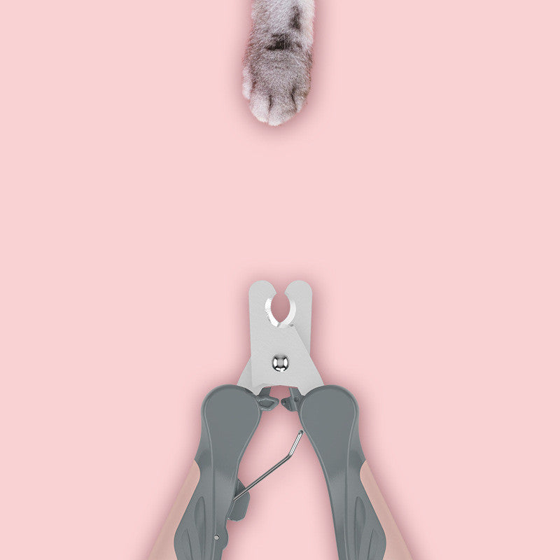 ea04df001ab9ce50a823ab0f6c524302