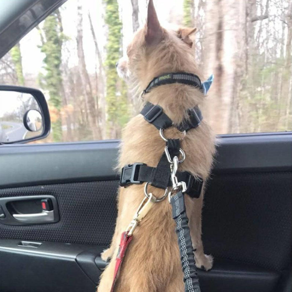 87d92a86afd04865c8c7ccc833329af